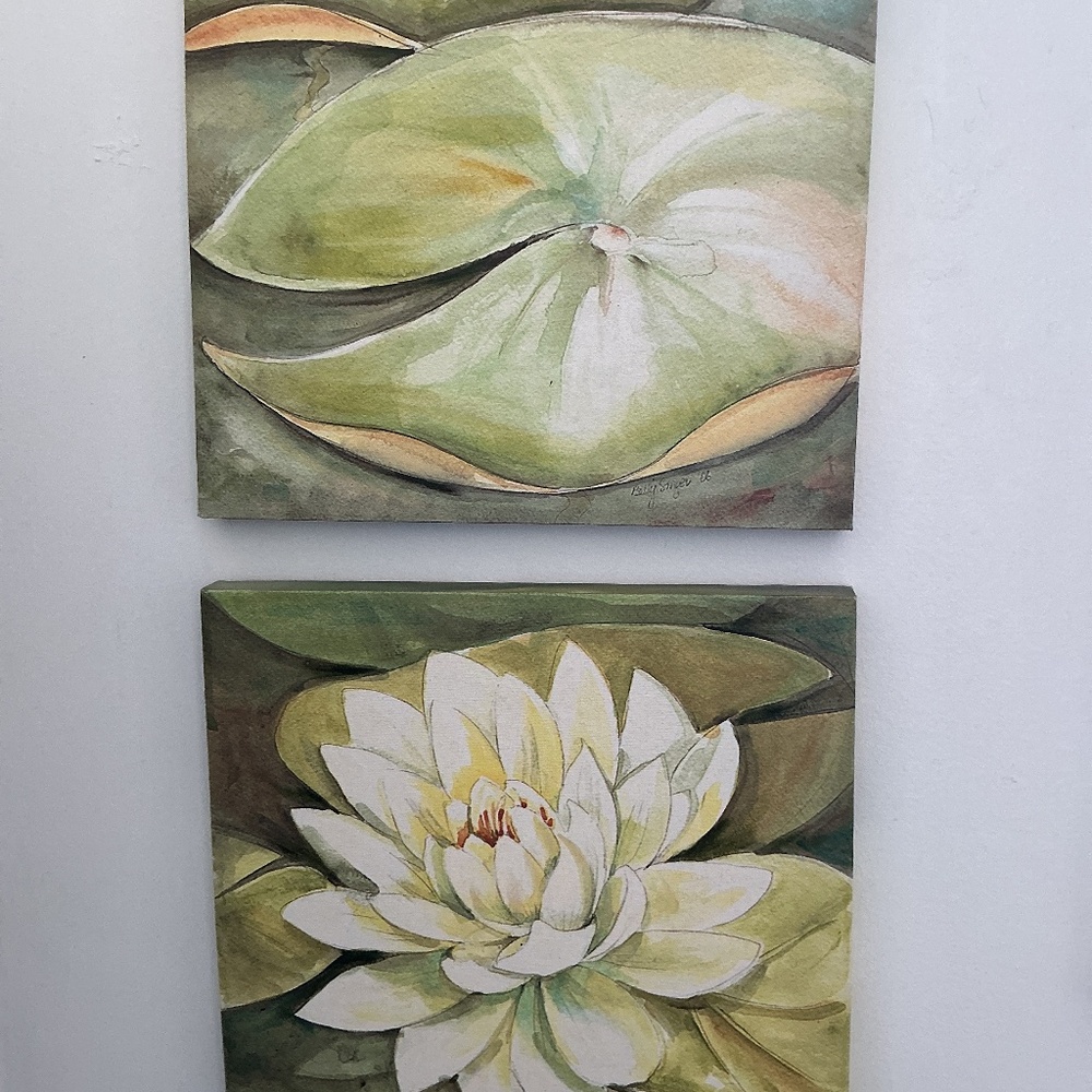 Lily Pad Pictures